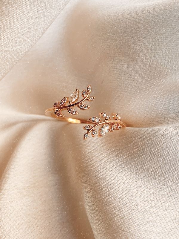 ring1